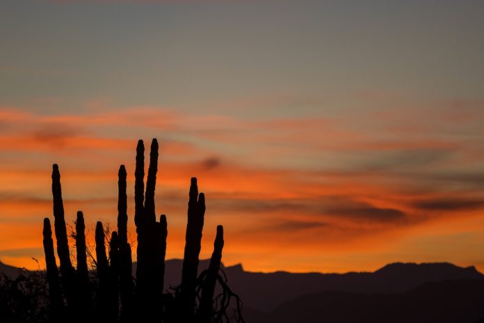 Cataviñá, un paraíso del ecoturismo en el desierto de Baja California