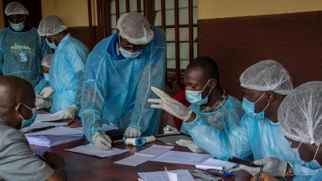 Detectan por primera vez en África occidental un virus altamente infeccioso similar al ébola