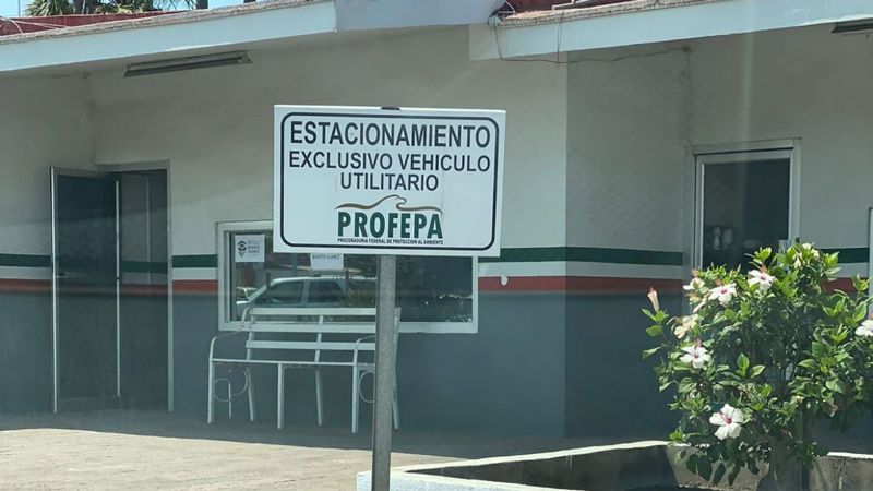 Por austeridad republicana, Profepa cierra oficinas en Tijuana y Ensenada